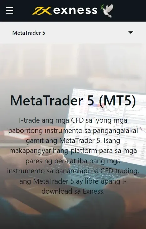 MT5