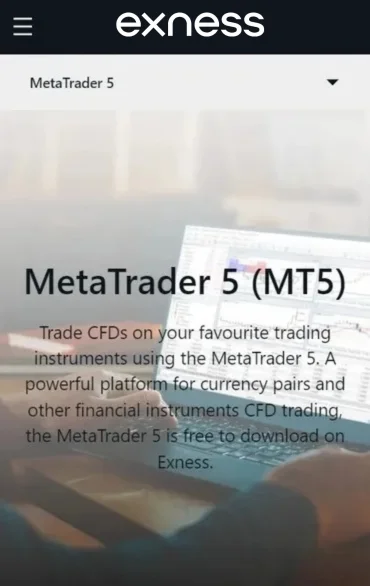 ,MT5